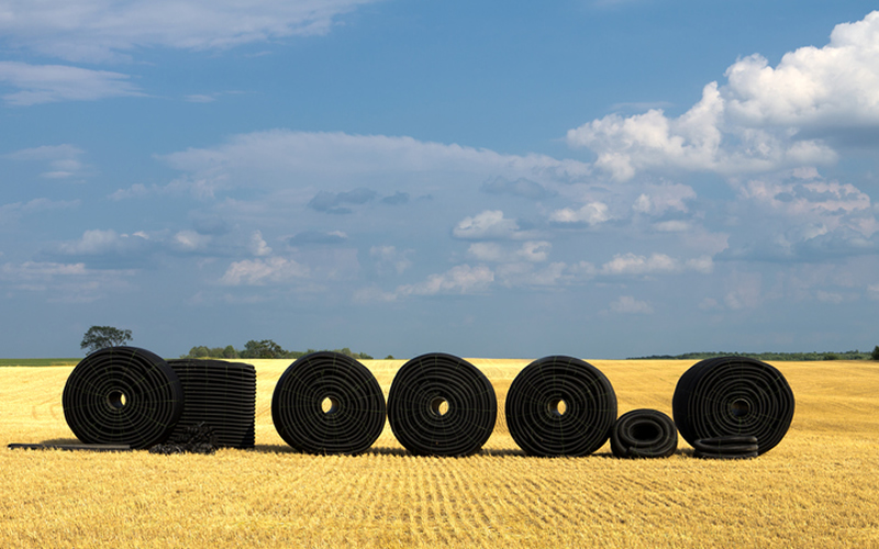 Nutrient Loss Through Field Tiles Versus Surface Losses